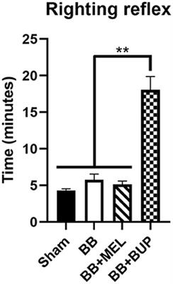The Neurobehavioral Effects of Buprenorphine and Meloxicam on a Blast-Induced Traumatic Brain Injury Model in the Rat